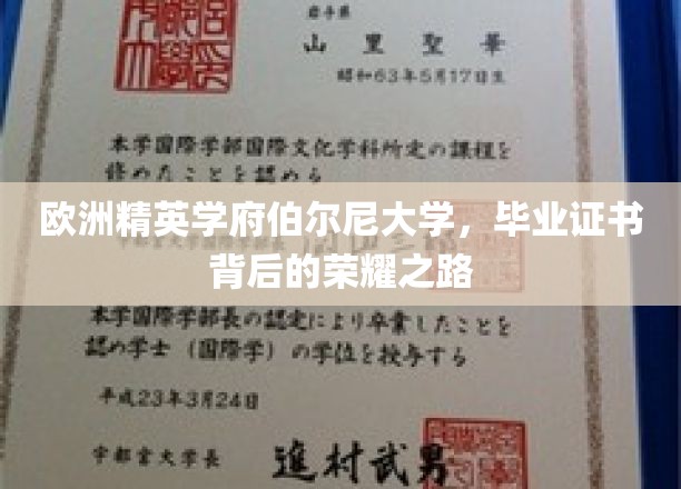 探寻伯尔尼大学，精英摇篮的荣耀证书之旅