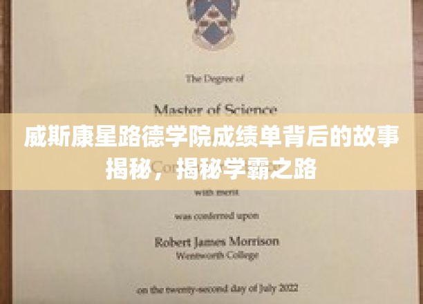 探寻威斯康星路德学院学霸背后的非凡成绩单传奇