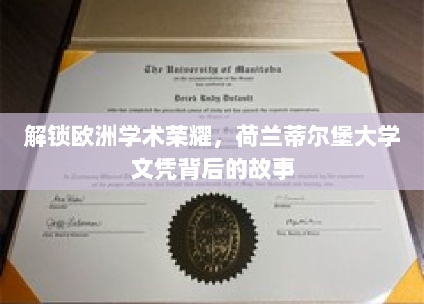 欧洲学术明珠，揭秘蒂尔堡大学文凭的非凡历程