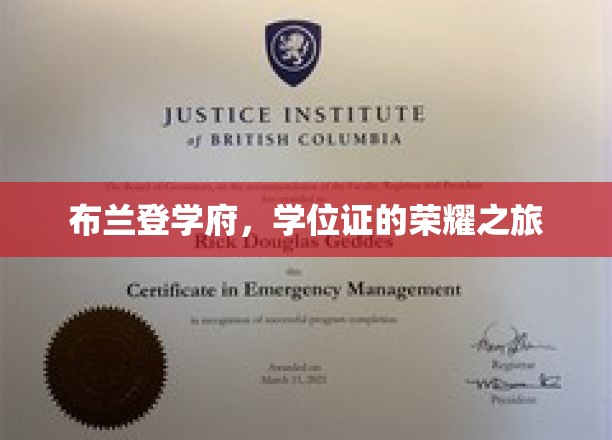 学位荣耀征途，布兰登学府的辉煌历程