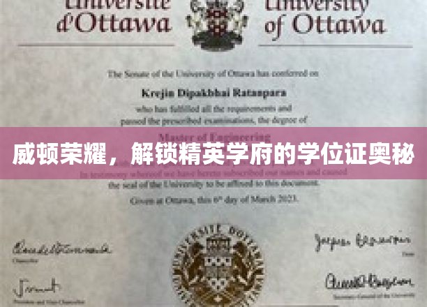 威顿荣耀揭秘，精英学府学位证背后的秘密通道