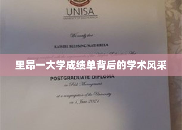 揭开里昂大学成绩单，探寻学术魅力背后的故事