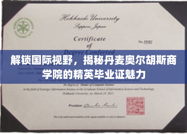 拓展国际视野，一探丹麦奥尔胡斯商学院精英毕业证书的魅力