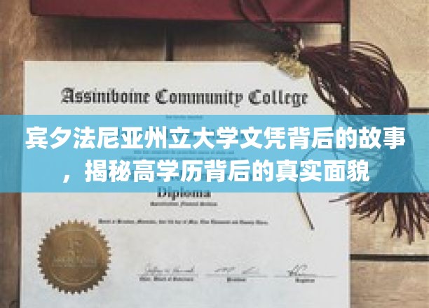 宾夕法尼亚州立大学文凭背后的故事，揭秘高学历背后的真实面貌