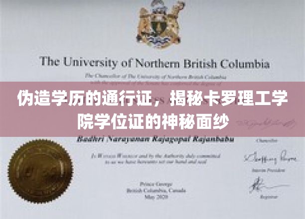 学历造假的新路径，揭秘卡罗理工学院虚幻学位证的秘密