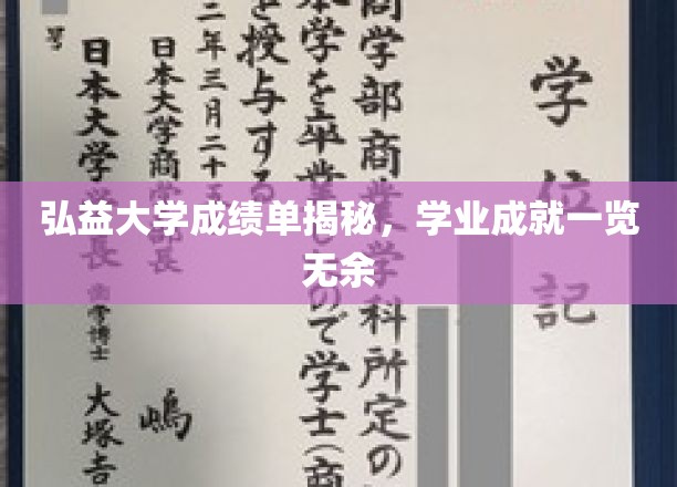 弘益大学学子成绩大公开，全面解析学业辉煌瞬间