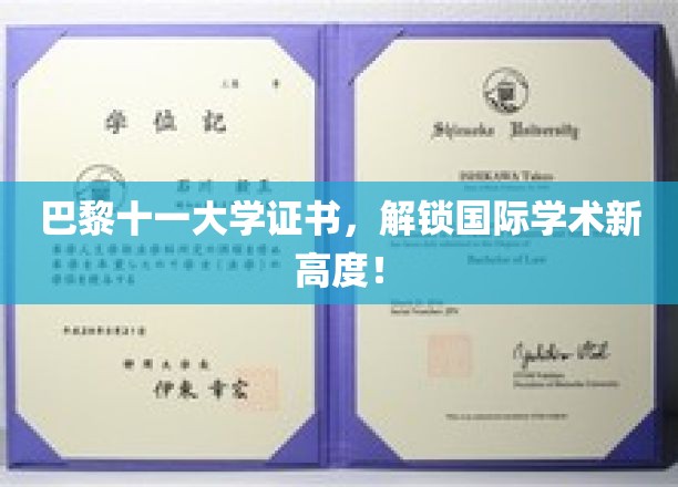 跨越国界，巴黎十一大学证书引领学术新视界！