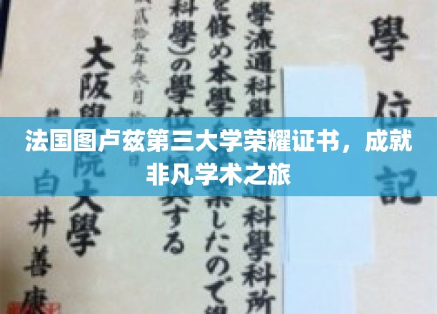 图卢兹第三大学荣耀证书颁发，开启非凡学术里程碑之旅