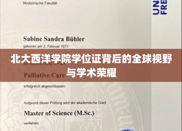 北大西洋学院学位证，开启全球视野，闪耀学术荣耀之光