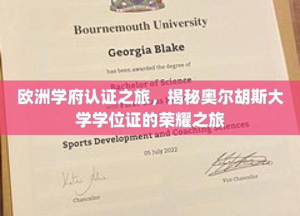 跨国学历之光，奥尔胡斯大学学位证的欧洲认证传奇之旅