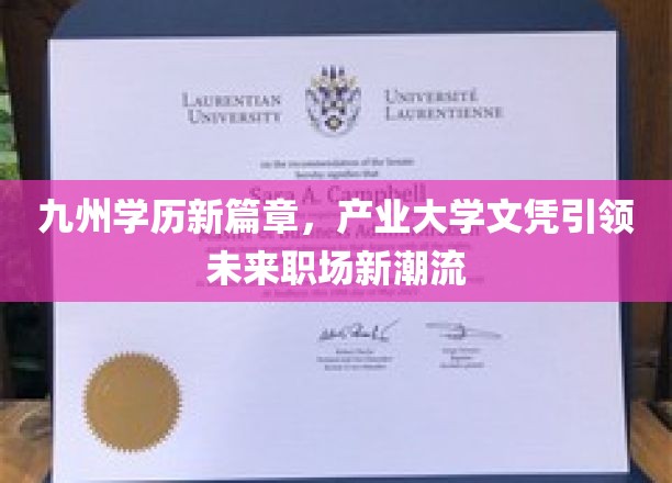 产业赋能，九州学历铸就职场新锐未来