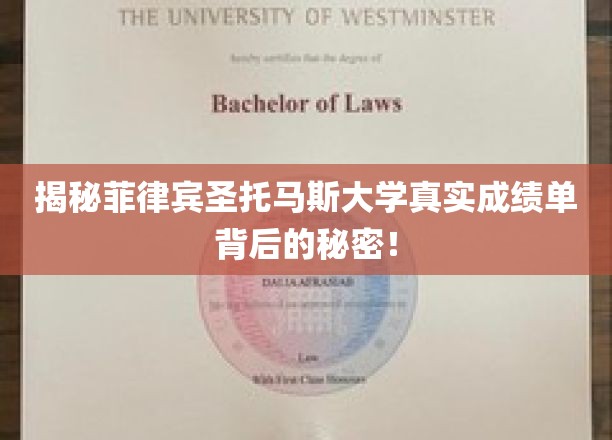 揭开菲律宾圣托马斯大学成绩单的神秘面纱，真相竟如此惊人！