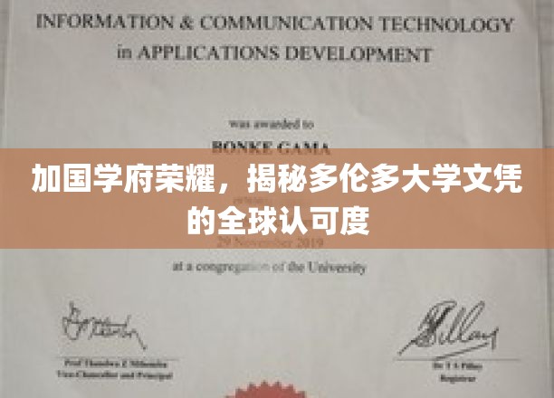 多伦多大学荣耀加身，探究国际文凭的广泛认可之谜