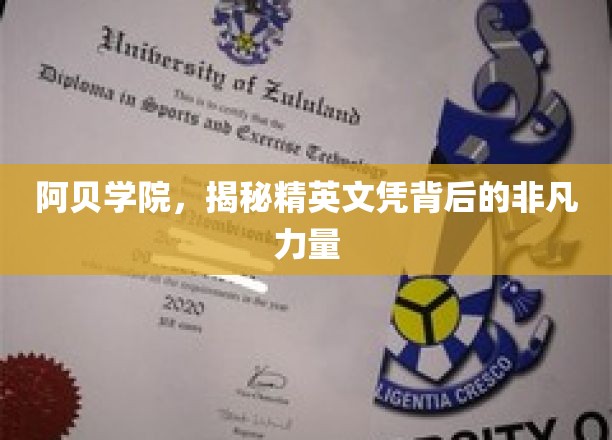 阿贝学院，精英文凭背后的神秘魅力大揭秘