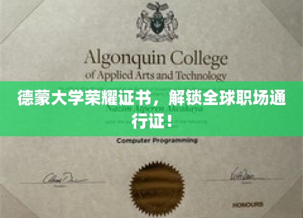 德蒙特福特大学荣耀证书，开启全球职场新篇章！