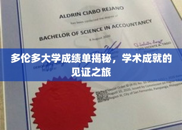 多伦多大学成绩单揭秘，学术成就的见证之旅