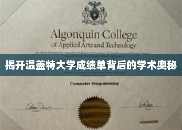 探寻温盖特大学成绩单的秘密，揭秘学术卓越的神秘面纱
