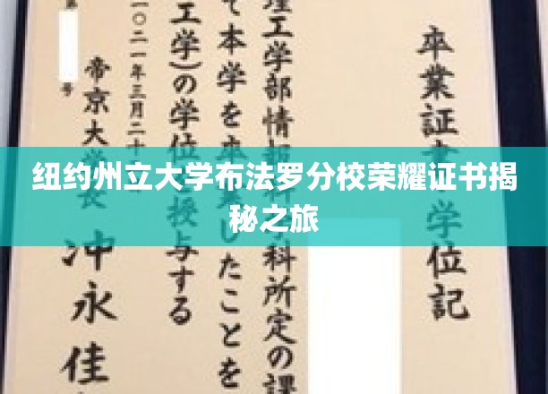 探索纽约州立大学布法罗分校荣耀证书背后的传奇故事