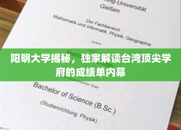 阳明大学揭秘，深度解读台湾顶尖学府的成绩单内幕