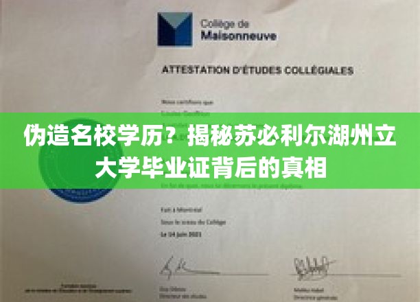 揭秘，苏必利尔湖州立大学学历疑云，伪造背后真相令人震惊