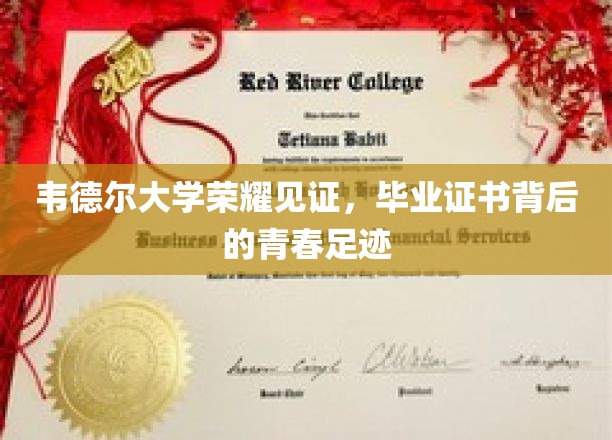韦德尔荣耀时刻，毕业证书映照青春轨迹