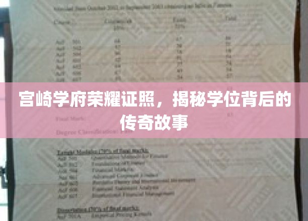宫崎学府学位荣耀探秘，探寻传奇背后的学术传奇