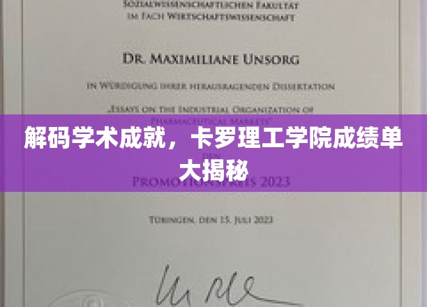 揭开卡罗理工学院学霸秘密，揭秘非凡学术成绩背后的故事