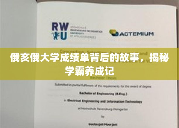 俄亥俄大学学霸养成记，揭开成绩单背后的励志篇章