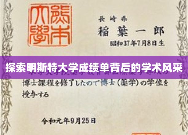 解码明斯特大学，成绩单里的学术魅力与成就之光