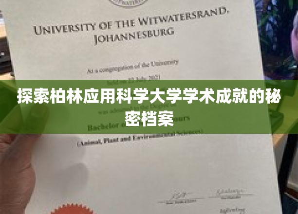 揭秘柏林应用科学大学，隐藏的学术宝藏之旅
