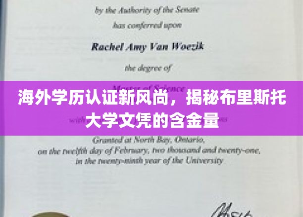 海外学历认证新风尚，揭秘布里斯托大学文凭的含金量