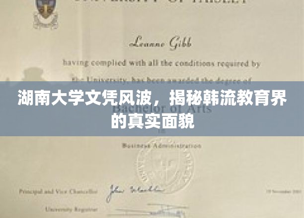 湘湘风波，湖南大学文凭疑云，探析当代教育乱象