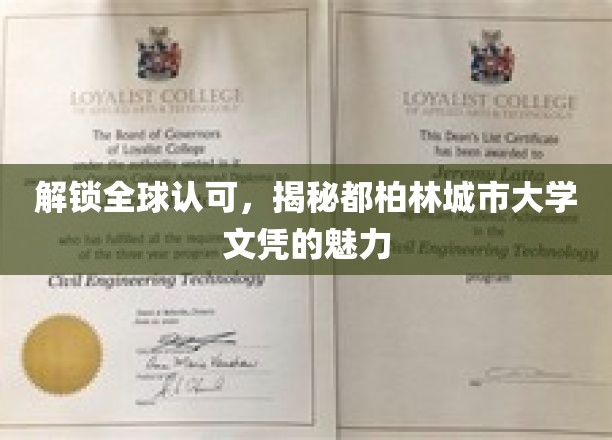 解锁全球认可，揭秘都柏林城市大学文凭的魅力
