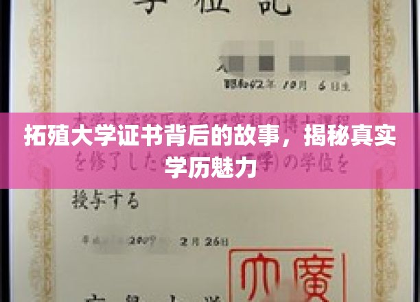 拓殖大学证书背后的故事，探寻真实学历的魅力