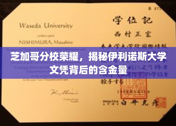 芝加哥分校荣耀，揭秘伊利诺伊大学文凭背后的含金量