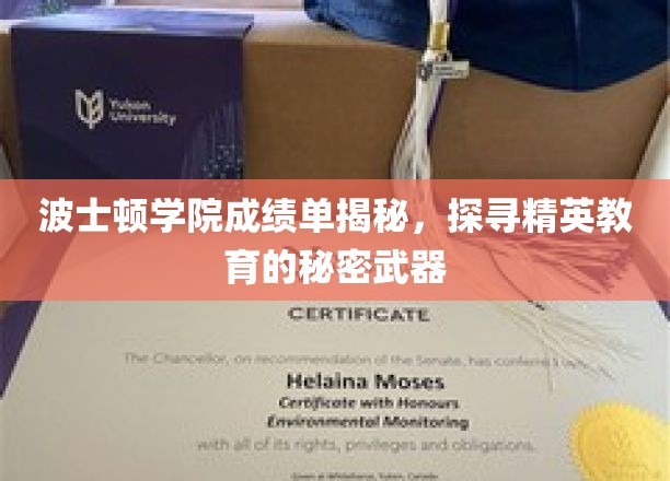 波士顿学院成绩单揭秘，探寻精英教育的秘密武器