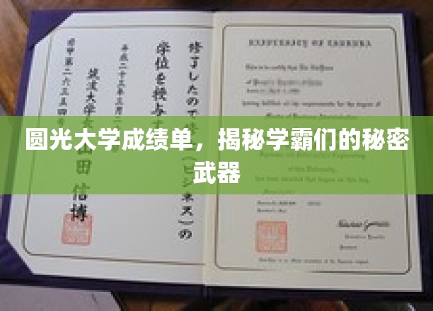 圆光大学成绩单，揭秘学霸们的秘密武器