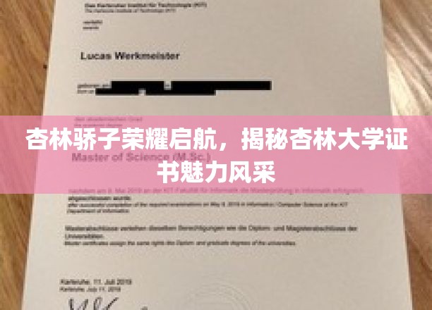 杏林骄子荣耀启航，揭秘杏林大学证书魅力风采