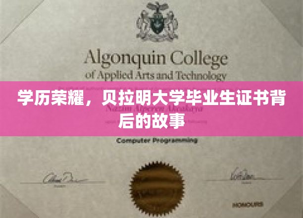 学历荣耀：揭秘贝拉明大学毕业生证书背后的故事