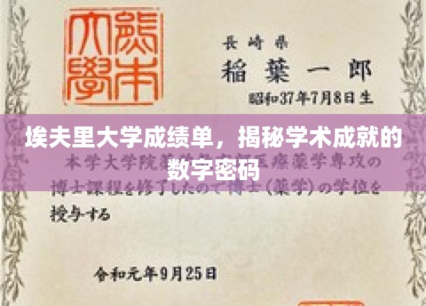 埃夫里大学成绩单,揭秘学术成就的数字密码