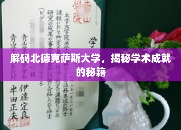 探寻北德克萨斯大学学术卓越背后的神秘力量