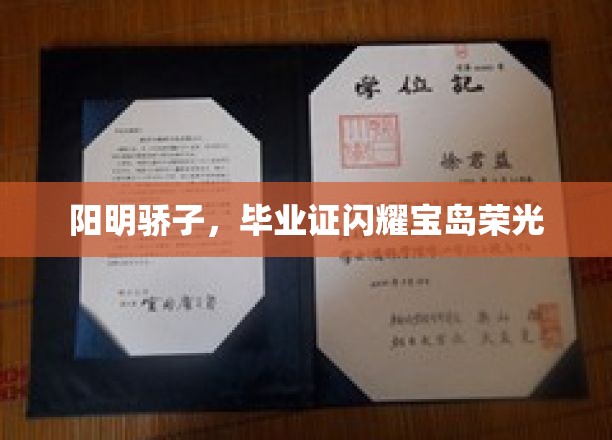 宝岛骄阳下的阳明英才，毕业证熠熠生辉