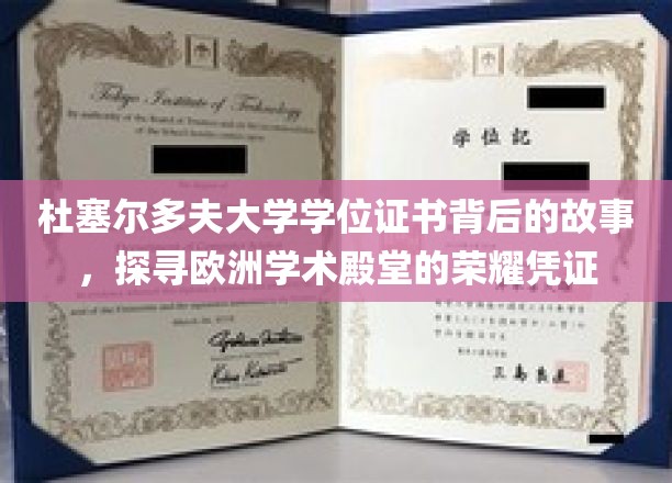 欧洲学术荣耀之谜，揭秘杜塞尔多夫大学学位证书的传奇传承