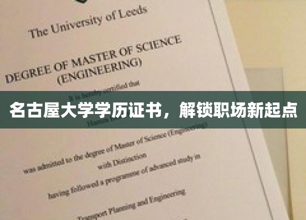 名古屋大学学历新篇章，职场起点再飞跃