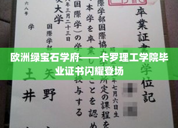 欧洲绿宝石学府——卡罗理工学院毕业证书闪耀登场