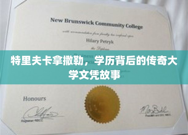 特里夫卡拿撒勒，学历背后的神秘传奇与真实大学文凭之谜