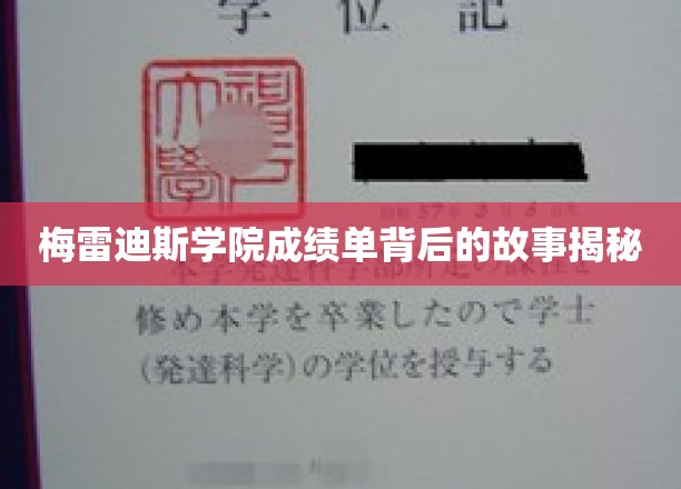 探寻梅雷迪斯学院成绩单背后的神秘面纱