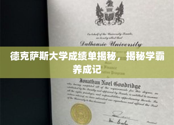 德克萨斯大学成绩单揭秘，揭秘学霸养成记
