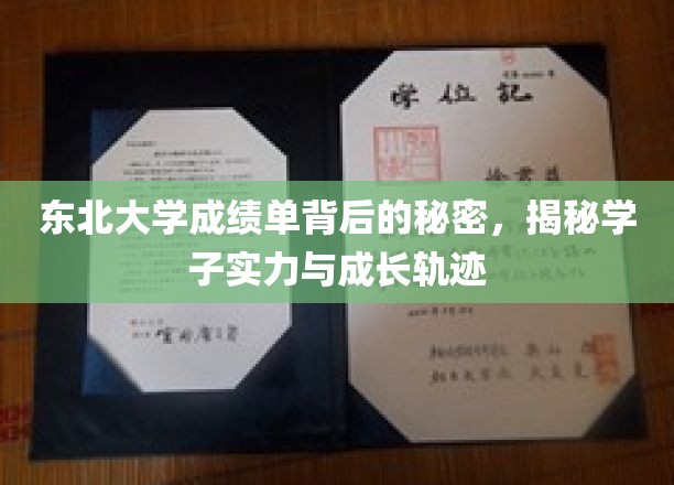 东北大学学子成绩单背后的成长密码，解锁实力与蜕变之路