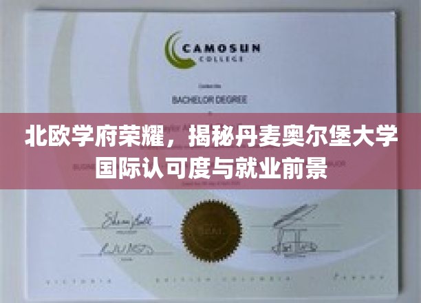 北欧学府荣耀，揭秘丹麦奥尔堡大学国际认可度与就业前景
